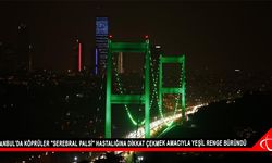 İstanbul'da köprüler "Serebral Palsi" hastalığına dikkat çekmek amacıyla yeşil renge büründü.