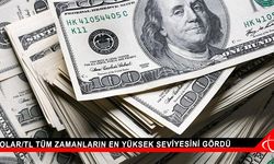 Dolar/TL tüm zamanların en yüksek seviyesini gördü