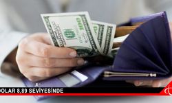 Dolar 8,89 Seviyesinde