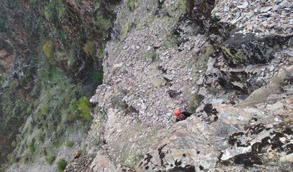 Kayalıklarda mahsur kalan keçiler kurtarıldı