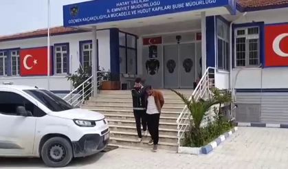 Balık istifi gibi kaçak göçmen taşıyan organizatöre 181 bin TL trafik cezası
