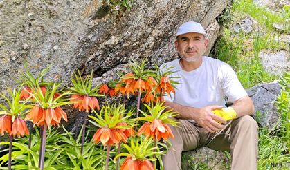 Bu laleleri koparmanın cezası 700 bin lira