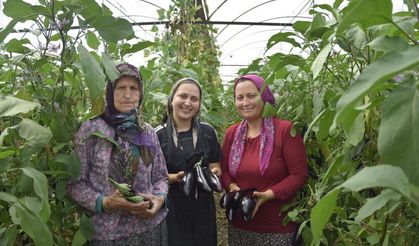 Nineden toruna: Üç kuşak aynı serada