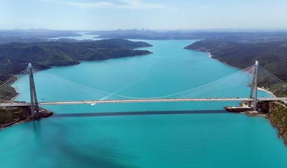 Turkuaza dönen İstanbul boğazında yunuslar akın etti