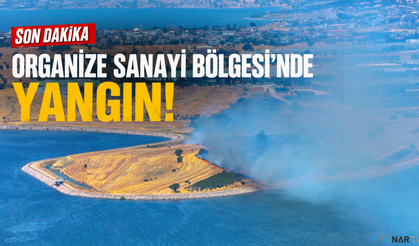 Kahramanmaraş'ta korkutan yangın.