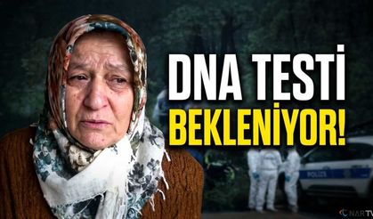 Ormanda Bulunan Cansız Beden Tolgahan’a mı Ait?