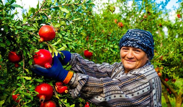 3,6 milyon kadın çiftçiye eğitim verildi