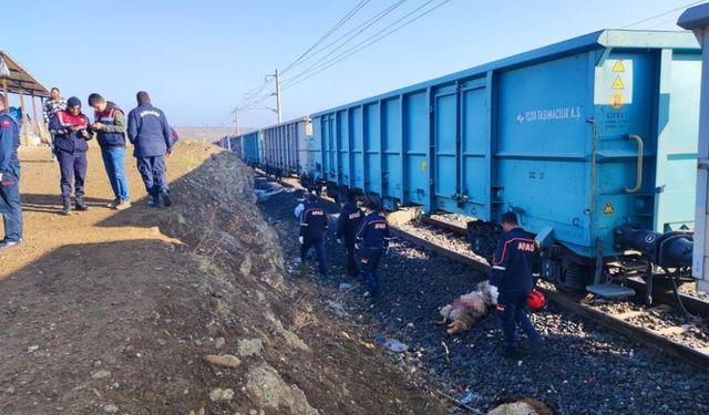 Yük treni sürüye çarptı: Çoban öldü, 30 koyun telef oldu