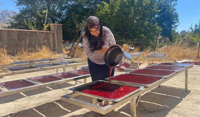 Girişimci kadın tescilli sumak ekşisini böyle üretiyor