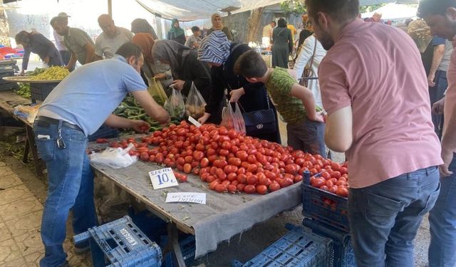 Salçalık domates ve biberler tezgahlarda