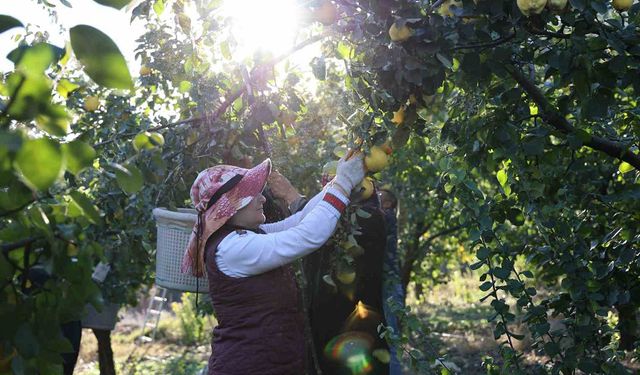 Rusya'nın ayvası Kahramanmaraş'tan