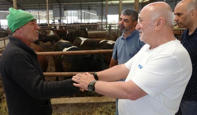 Kurbanlık satışları başladı, kıran kırana pazarlık