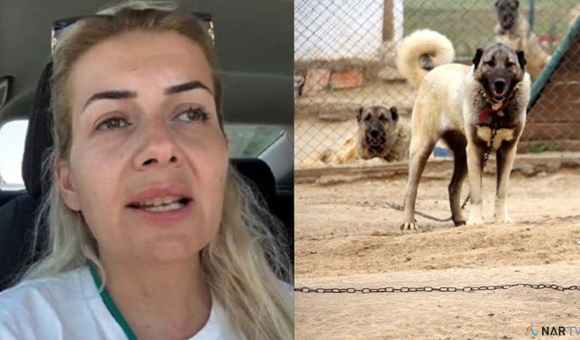 'Köpek Velisi'nin mal varlığı dudak uçuklattı