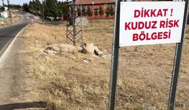 Kuduz alarmı: Bir mahalle karantinada!