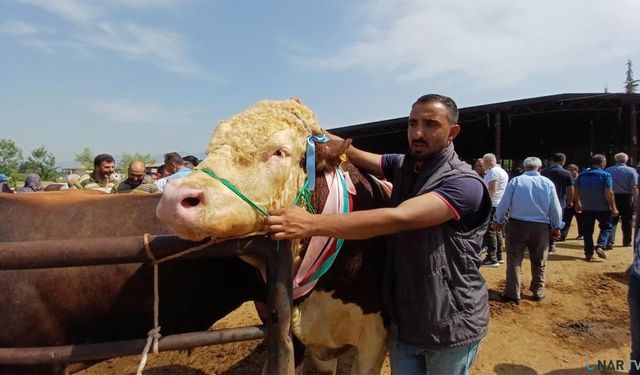 Son kurbanlığının boynuna 7 tane altın taktı!