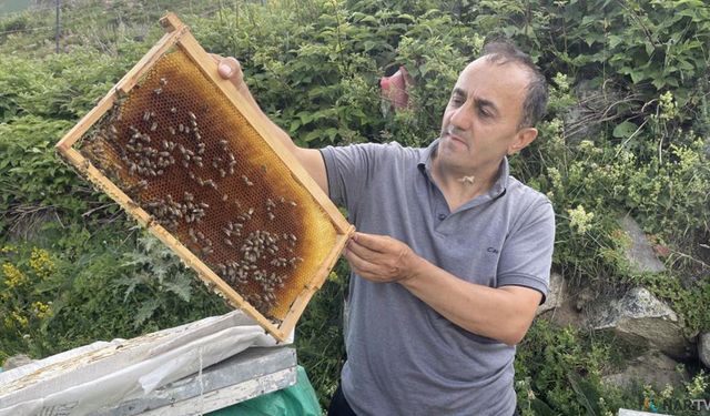 Anzer Balı’nın bu yılki kilogram fiyatı belli oldu