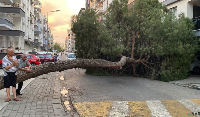 Facianın eşiğinden döndü!