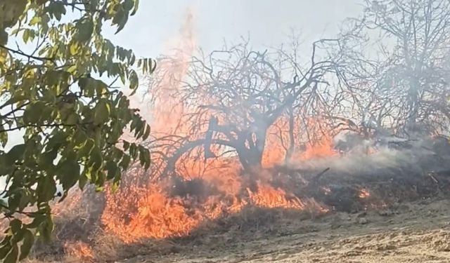 Denizli'yi Saran Yangın Felaketi: Korkutan Alevler!