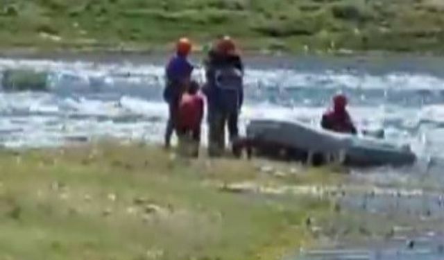 Barajda su yükseldi 3 çocuk ve 2 köpek mahsur kaldı.