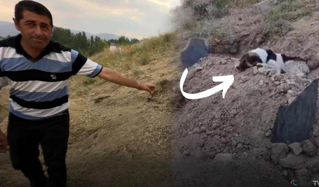 Mezar başında vefa nöbeti.