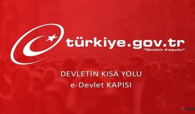 E-Devlet’te Teknik Aksaklık: Kullanıcılar İşlem Yapamıyor