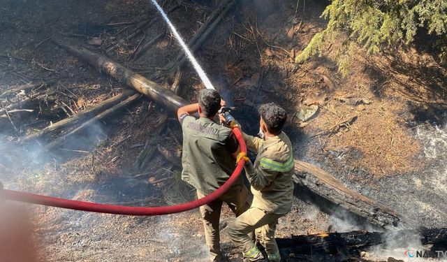 Kahramanmaraş'ta orman yangını devam ediyor.