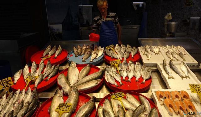 Balıkçıların gözü bu sezon hamside mi?