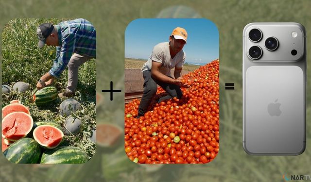 iPhone 17’nin bedeli: 30 tır karpuz, 2 tır domates.