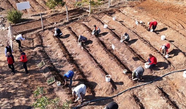 Kahramanmaraş'ta Salep toprakla buluşturuldu.
