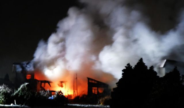 Japonya'daki 7.5'lik depremde yaralı sayısı 50'ye yükseldi