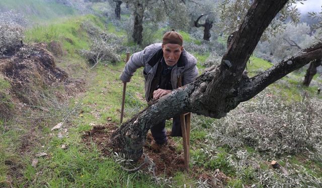 Film sahnesi değil gerçek hayat