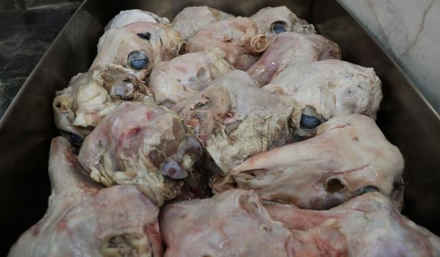 'Gözünün yağını yiyeyim' deyimi buradan geliyor.