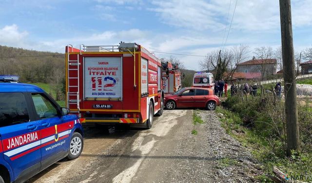 Kestiği ağaç canına mal oluyordu