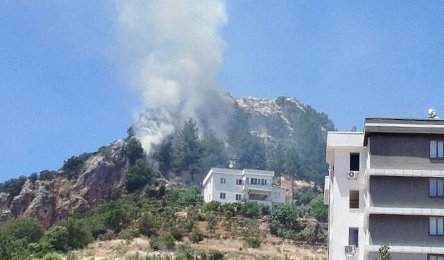 Kahramanmaraş’ta Orman Yangını Paniği! Ekipler Seferber Oldu