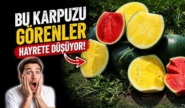 Bu karpuzu görenler hayrete düşüyor.