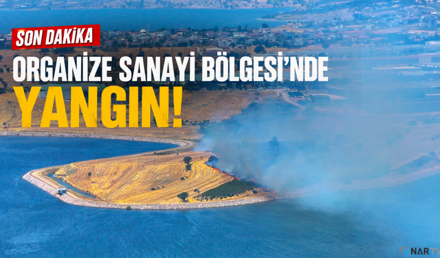 Kahramanmaraş'ta korkutan yangın.
