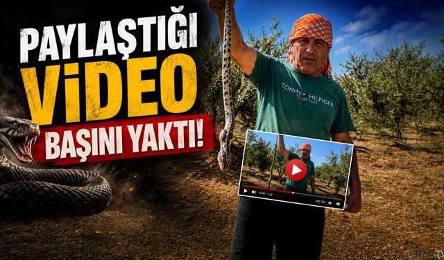 Bir video paylaştı... Fatura ağır kesildi!
