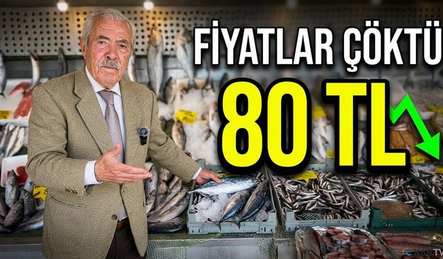 Palamutta 25 sene önceki bolluk yaşanıyor
