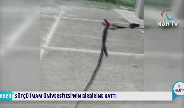 SÜTÇÜ İMAM ÜNİVERSİTESİ'Nİ BİRBİRİNE KATTI.