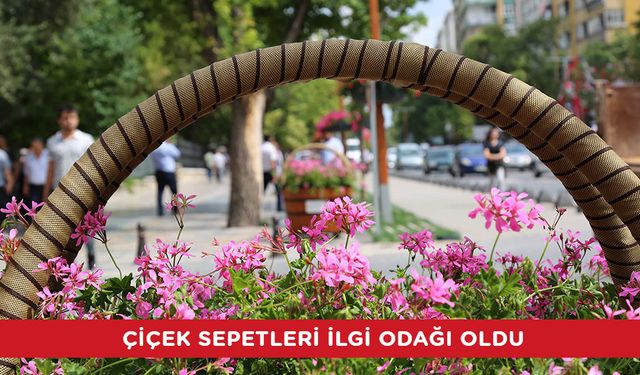 ÇİÇEK SEPETLERİ İLGİ ODAĞI OLDU