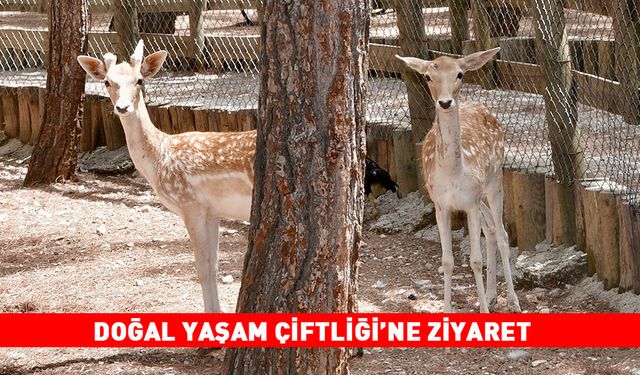 DOĞAL YAŞAM ÇİFTLİĞİ’NE ZİYARET