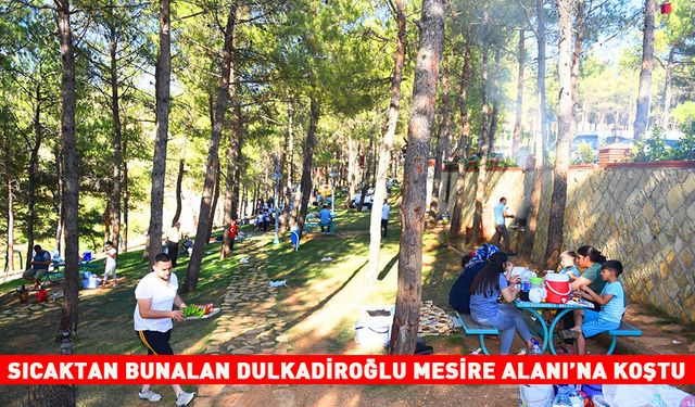 SICAKTAN BUNALAN DULKADİROĞLU MESİRE ALANI’NA KOŞTU