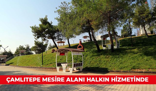 ÇAMLITEPE MESİRE ALANI HALKIN HİZMETİNDE