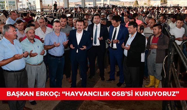 BAŞKAN ERKOÇ: “HAYVANCILIK OSB’Sİ KURUYORUZ”