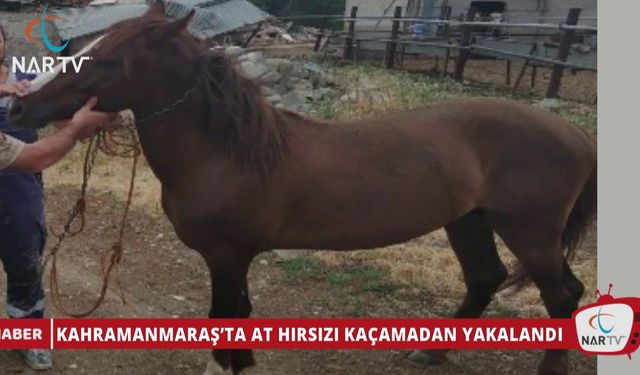 KAHRAMANMARAŞ’TA AT HIRSIZI KAÇAMADAN YAKALANDI