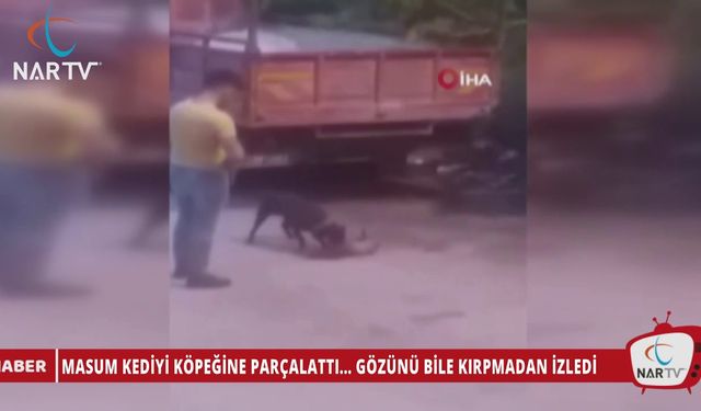 MASUM KEDİYİ KÖPEĞİNE PARÇALATTI... GÖZÜNÜ BİLE KIRPMADAN İZLEDİ