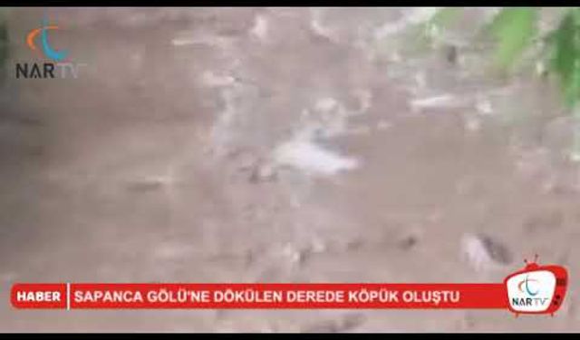 Sapanca Gölü’ne dökülen derede köpük oluştu