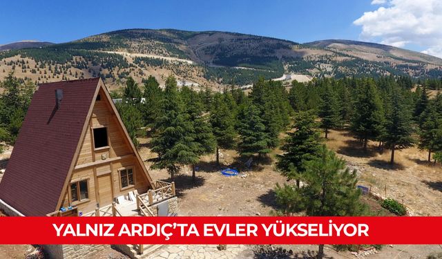 YALNIZ ARDIÇ’TA EVLER YÜKSELİYOR