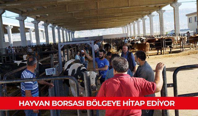 HAYVAN BORSASI BÖLGEYE HİTAP EDİYOR