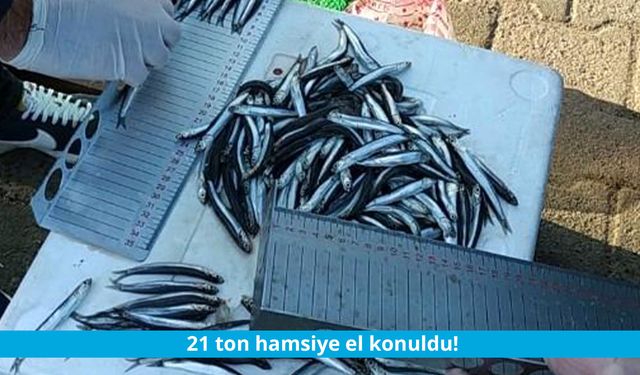 21 ton hamsiye el konuldu!